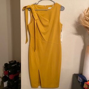 Calvin Klein Mustard Color Dress (business) size 10